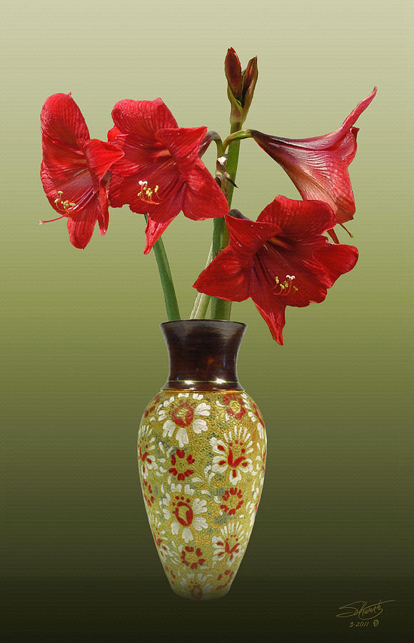 Crimson Amaryllis in Tall Vase Photograph by M Spadecaller