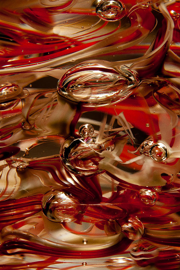 Crimson and Gray Glass Macro WS2 Photograph by David Patterson