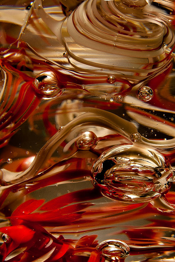 Crimson and Gray Glass Macro WS4 Photograph by David Patterson