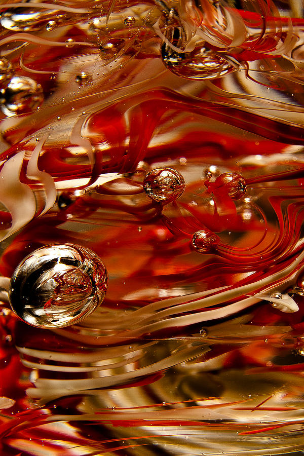 Crimson and Gray Glass Macro WS6 Photograph by David Patterson