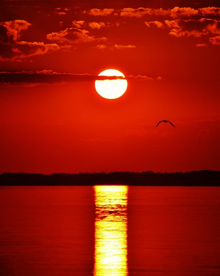 Crimson Bay Photograph by Billy Beck