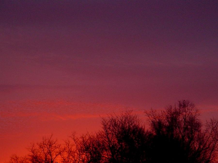 Crimson Sky Photograph by Lila Mattison
