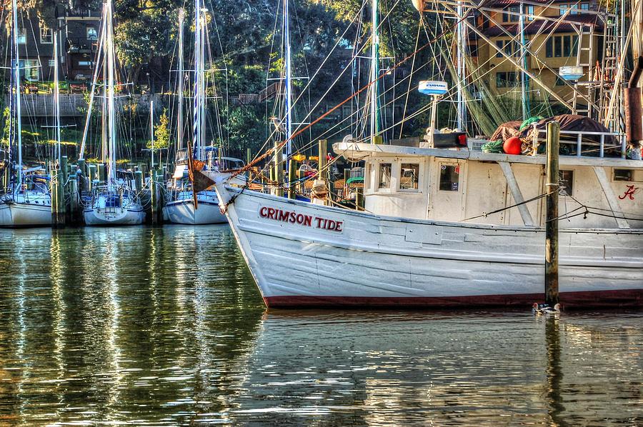 Water Photograph - Crimson Tide in the Sunshine by Michael Thomas Water Photograph - Crimson Tide in the Sunshine by Michael Thomas
