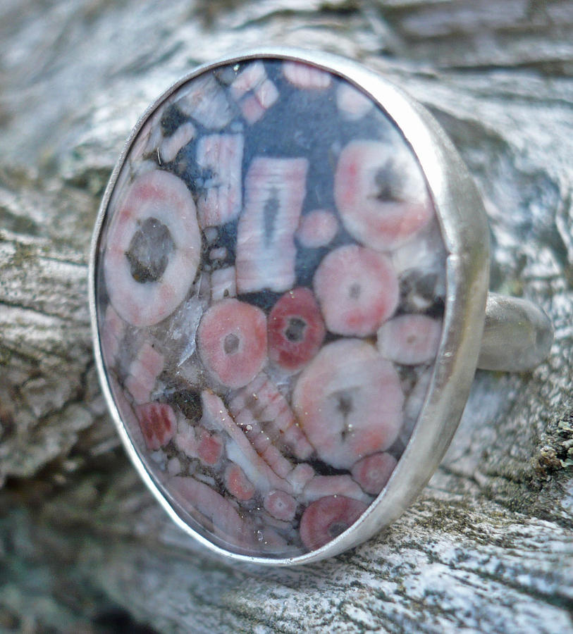 Fossil Jewelry - Crinoid Fossil Ring by Arianna Bara Fossil Jewelry - Crinoid Fossil Ring by Arianna Bara