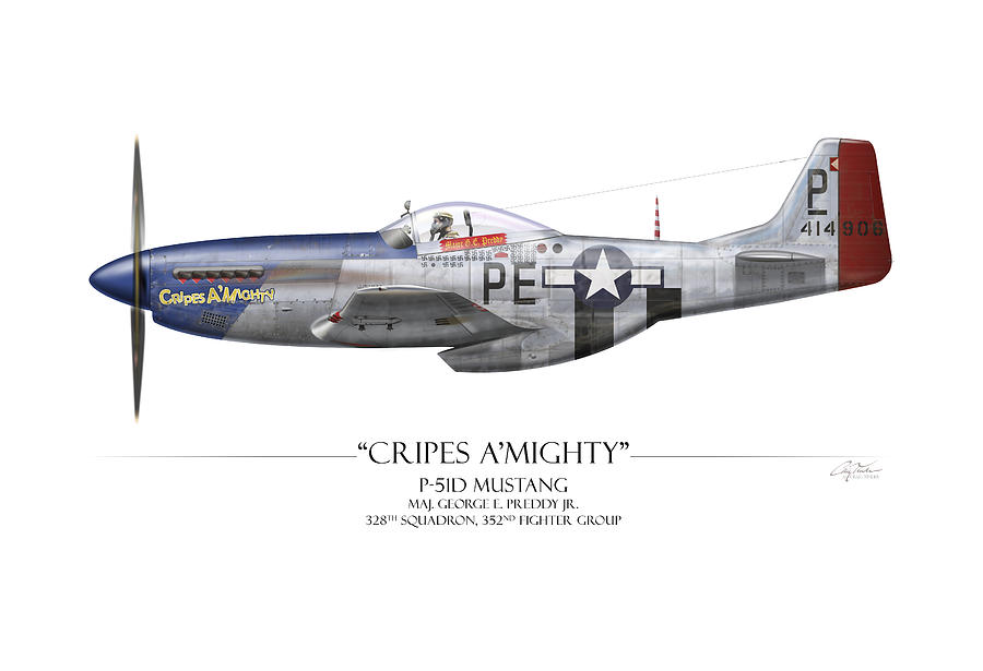 Airplane Painting - Cripes A Mighty P-51 Mustang - White Background by Craig Tinder