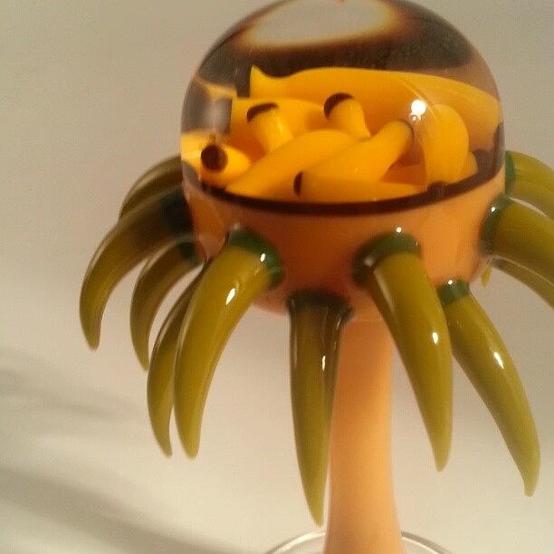 Nonfunctional Photograph - Crippy Banana Tree I Made That Uses by Coyle Glass