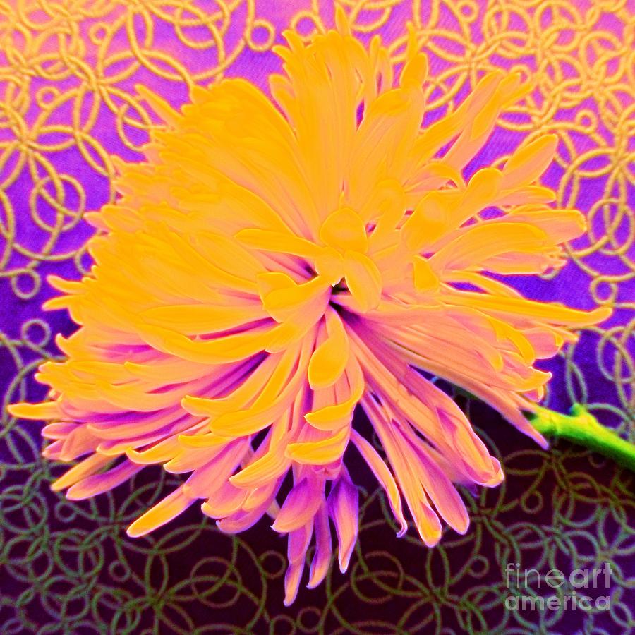 Crisantemo Dorado Photograph by Barbie Corbett-Newmin