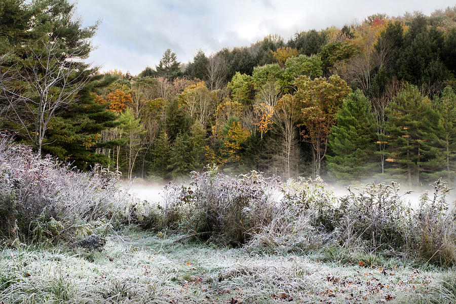 Crisp Morning Frost Hillside Landscape Photograph by Christina Rollo