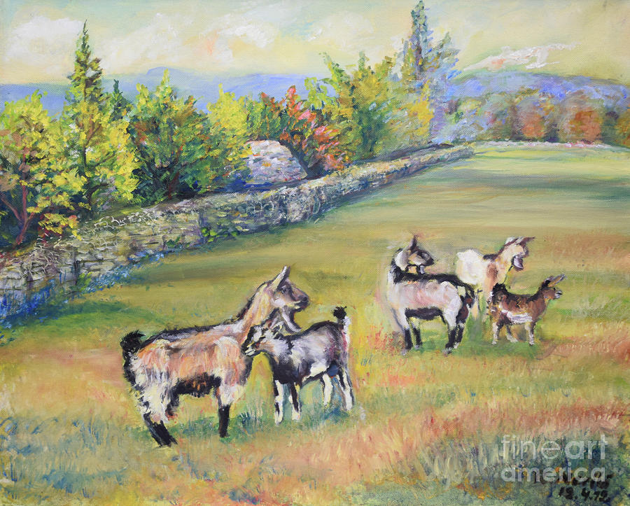 Croatian Goats Painting by Raija Merila