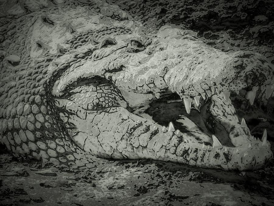 Croc Photograph by Sue Long