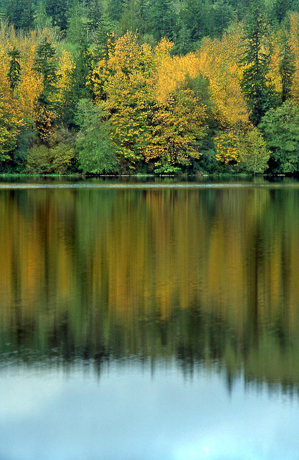 Reflections Of Fall Photograph by Ginny Barklow