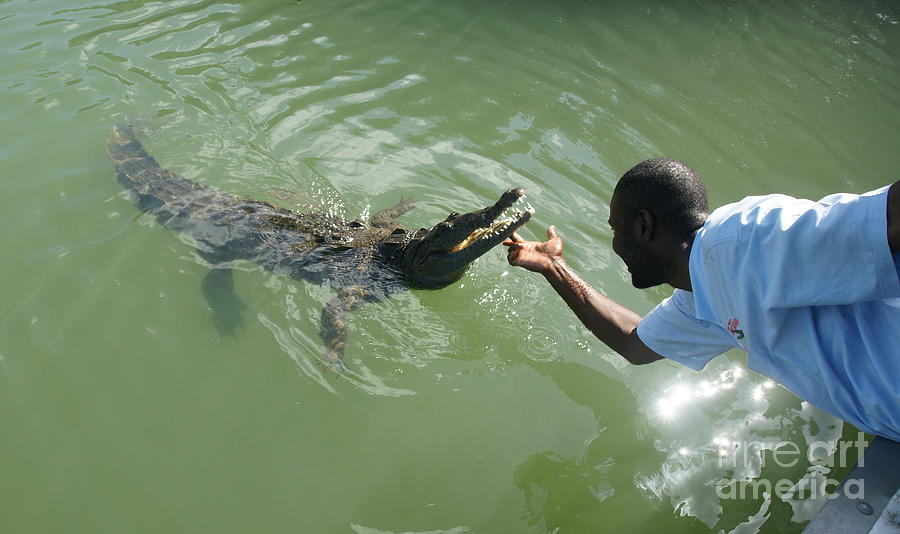 Crocodile Dundee Photograph - Crocodile Dundee Jamaica by Olaf Christian Crocodile Dundee Photograph - Crocodile Dundee Jamaica by Olaf Christian