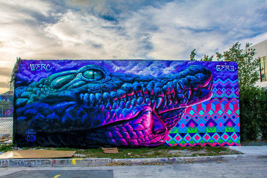 Egg Photograph - Crocodile Graffiti by Manuel Lopez