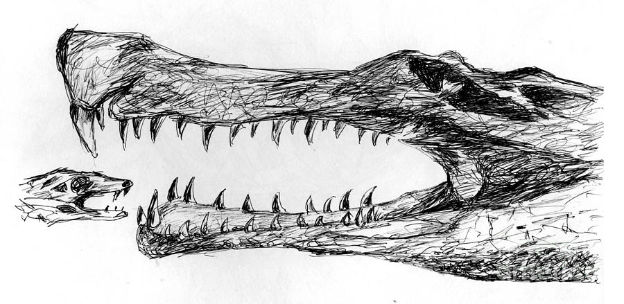 Crocodile Drawing by Sudhakar Chalke - Fine Art America