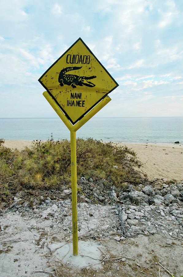 crocodile-warning-sign-photograph-by-louise-murray-science-photo-library