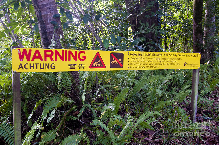 Crocodile Warning Sign Photograph by William H. Mullins