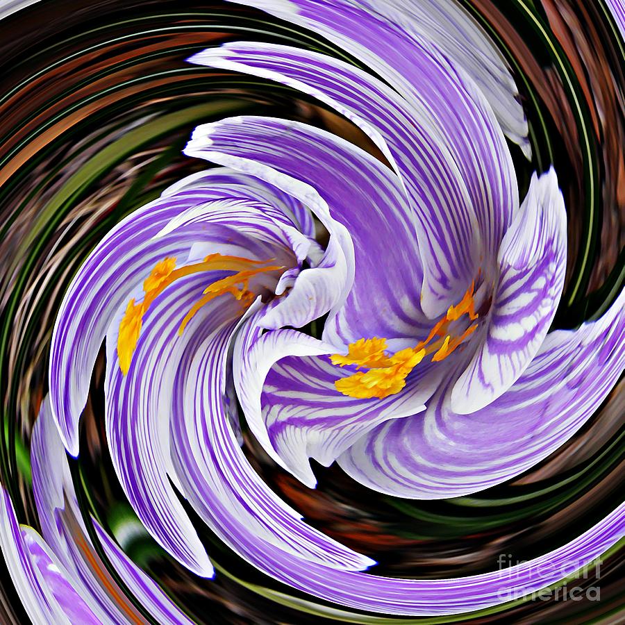 Crocus Swirl 1 Digital Art by Sarah Loft