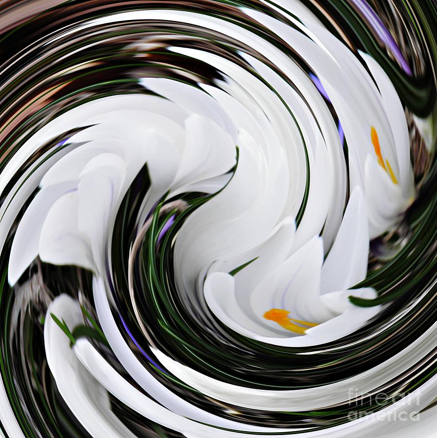Crocus Swirl 3 Digital Art by Sarah Loft