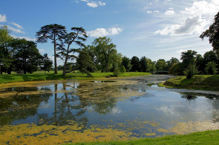 Croome Park 82 Photograph by Ron Harpham