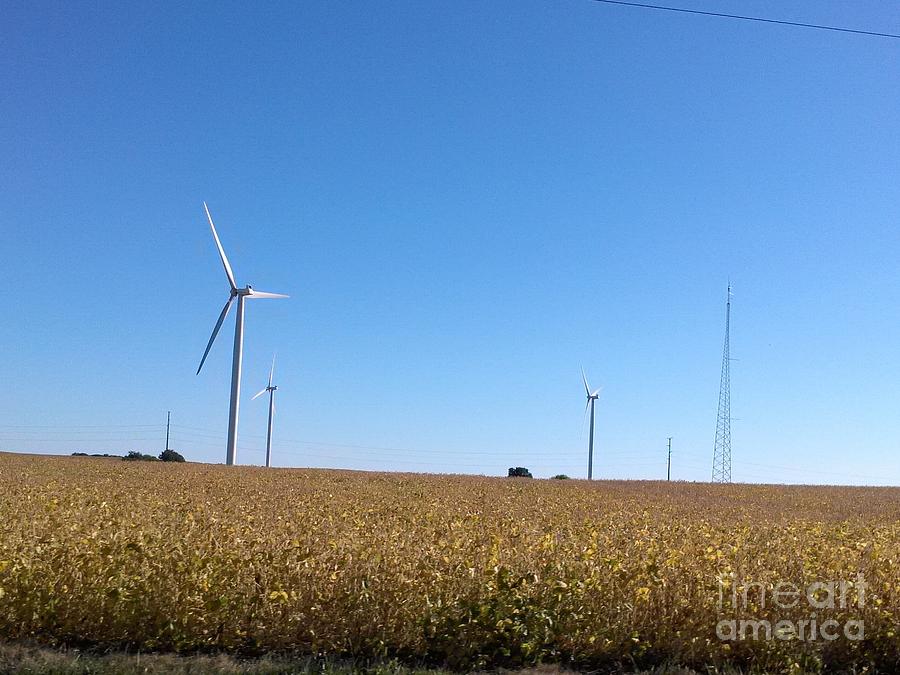 Crop And Wind Farm Photograph