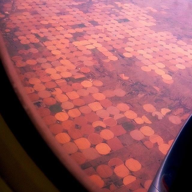 Crop Circles Photograph by Billy Torma