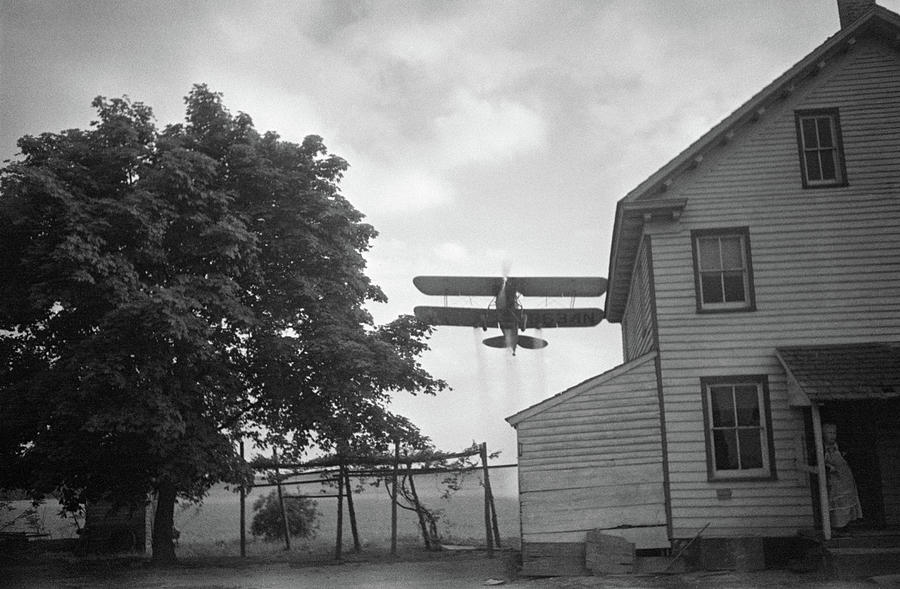 Crop Dusting, 1938 Photograph by Edwin Rosskam