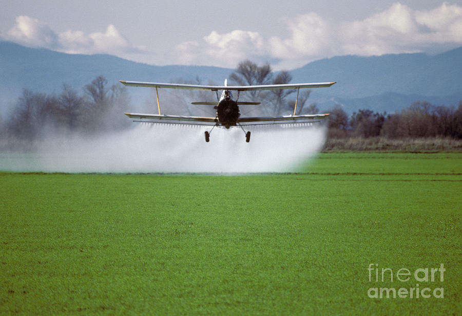 Crop Dusting Photograph by Ron Sanford