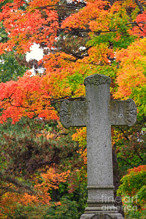 Cross and Fall Colors Photograph by Charline Xia