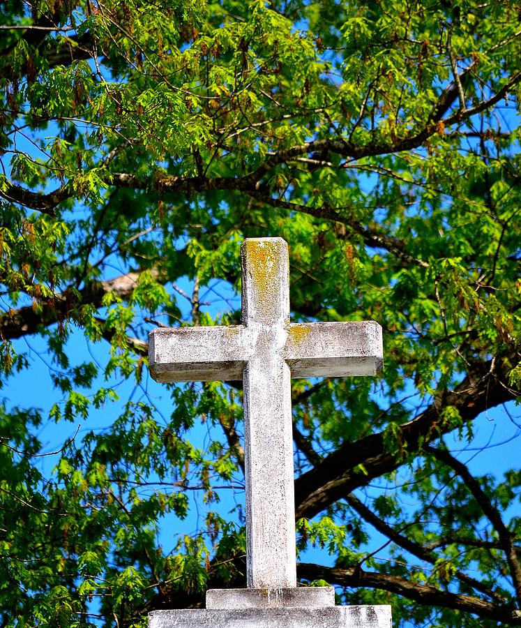 Cross at the Monastery of the Holy Spirit Photograph by Tara Potts