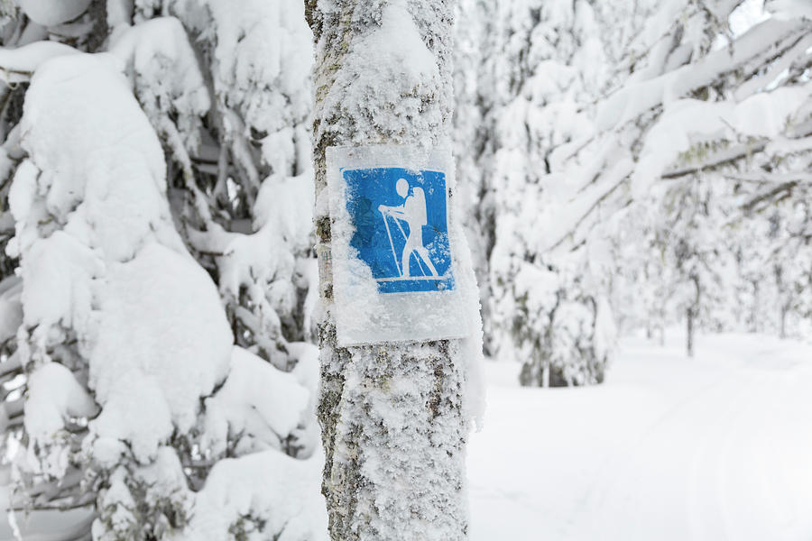 Winter Photograph - Cross Country Skiing Sign, Riisitunturi by Peter Adams