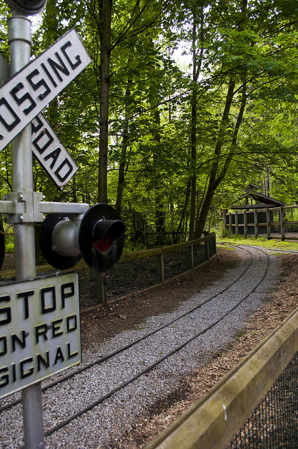 Cross my Path Photograph by Jacqueline Michael - Fine Art America