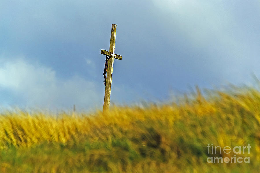 Nature Photograph - Cross of Juno Beach by Elvis Vaughn