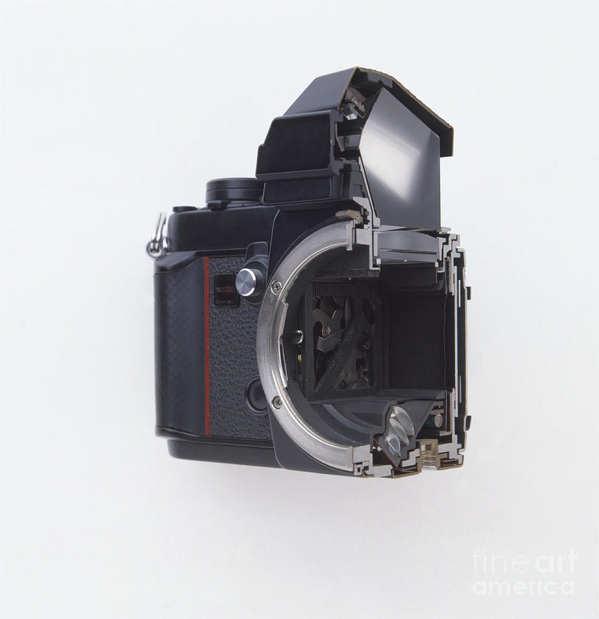 Still Life Photograph - Cross-section Of A Camera by Dorling Kindersley