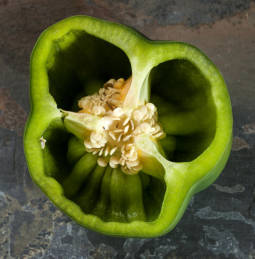 Organic Green Bell Pepper, 60% OFF | www.jamesg.co.za