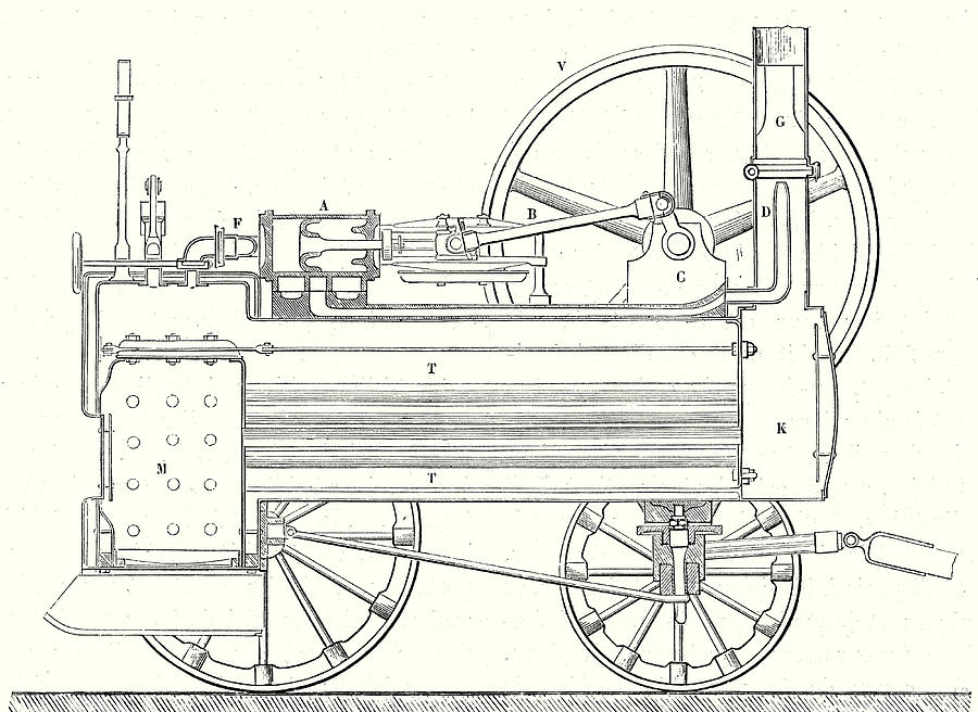 Cross Section Of M Drawing by English School - Pixels