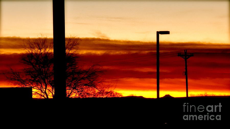 Sunset Photograph - Cross The Skies by LeLa Becker