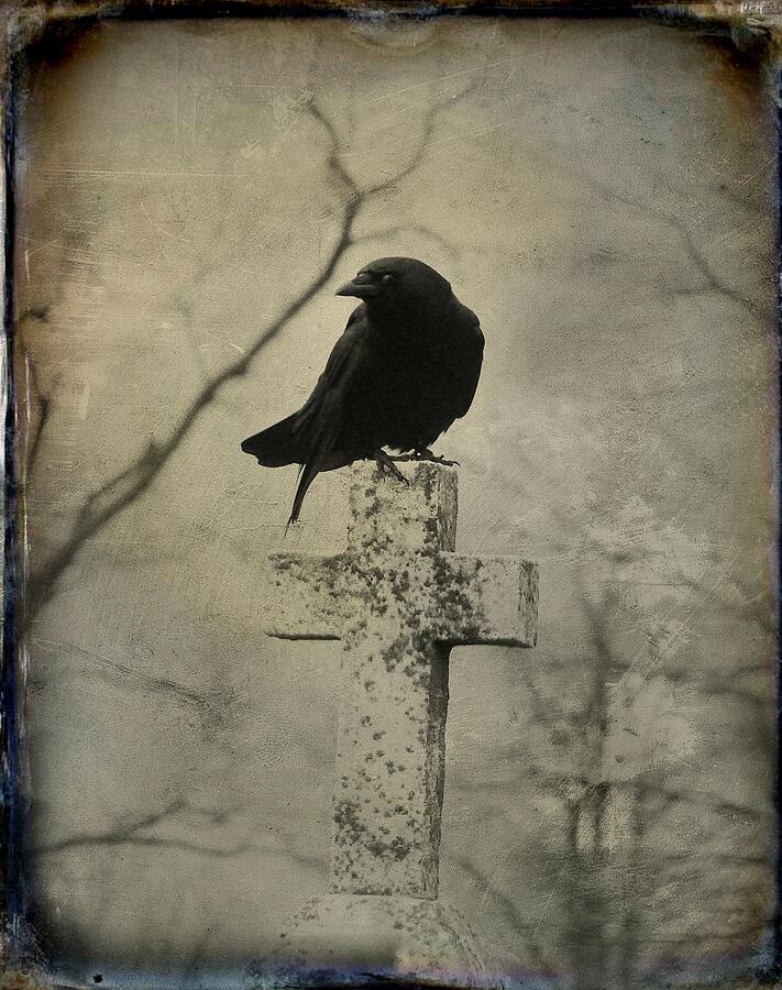 Cross With Crow Photograph by Gothicolors Donna