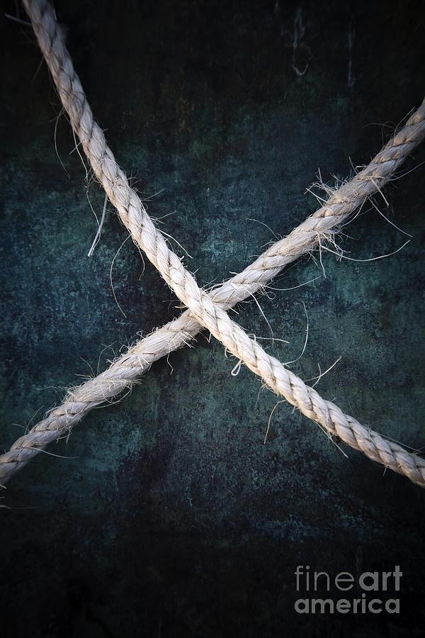 Crossed Cord Photograph by Maria Heyens