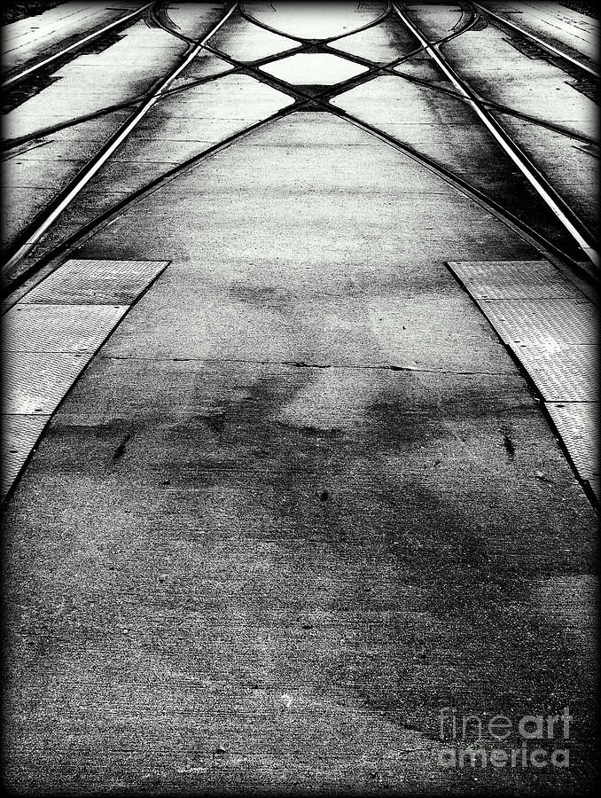 Crossed Paths Photograph by James Aiken