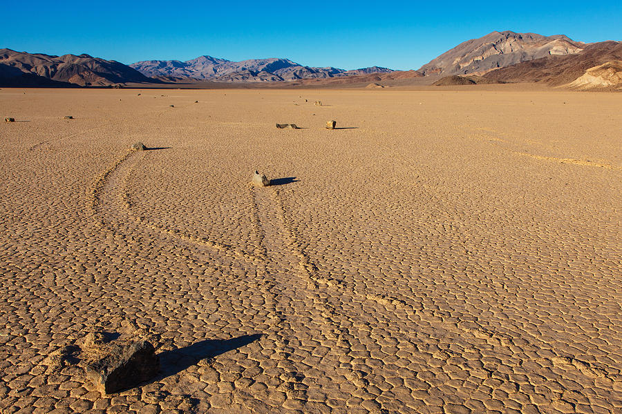 Death Valley National Park Photograph - Crossing Paths  by James Marvin Phelps