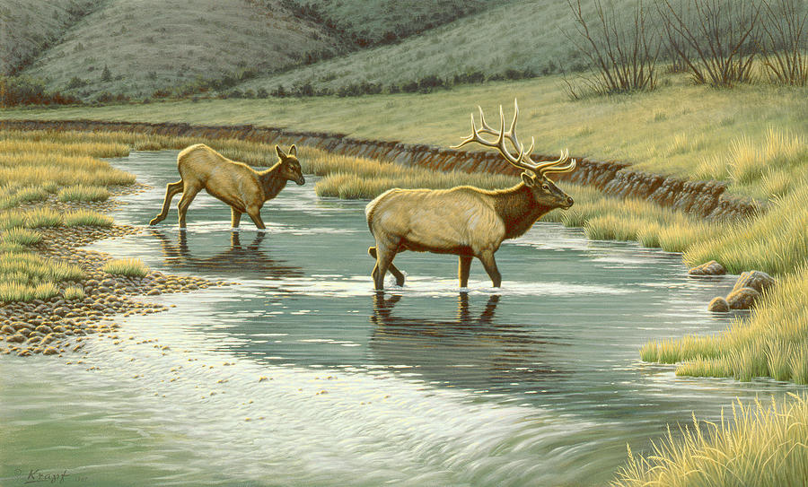 Wildlife Painting - Crossing the Gardiner by Paul Krapf
