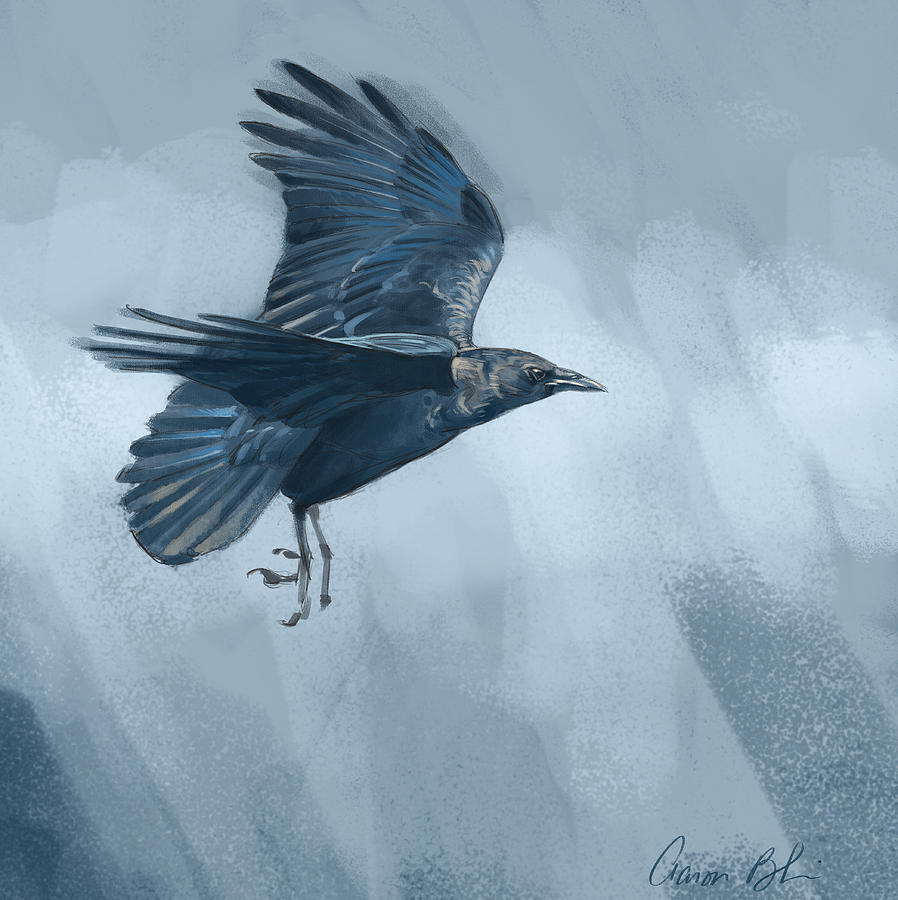 Crow Digital Art by Aaron Blaise