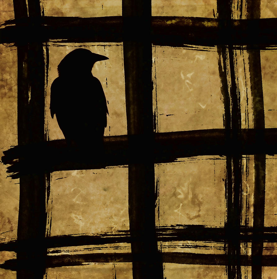 Crow Photograph - Crow and Golden Light Number 1 by Carol Leigh