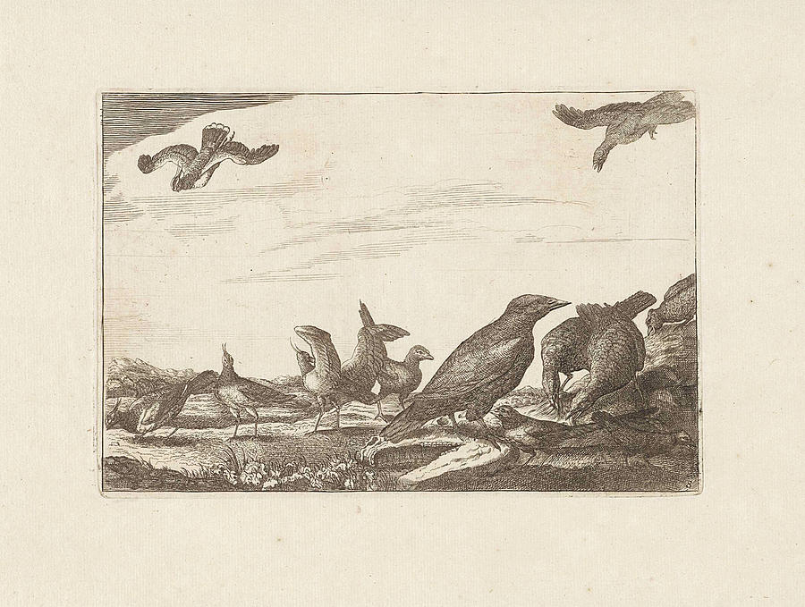Francis Barlow Drawing - Crow And Pheasants, Francis Barlow, Pieter Schenk by Francis Barlow And Pieter Schenk I