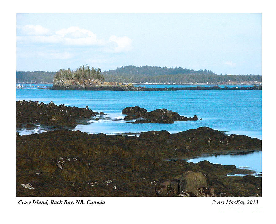 Crow Island Bay of Fundy NB Mixed Media by Art MacKay