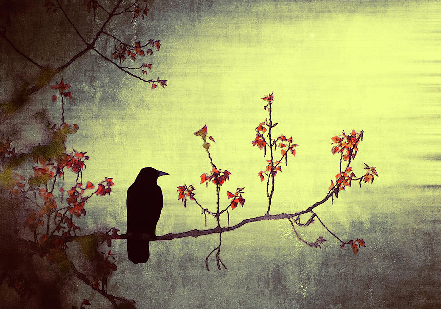 Crow Sitting On A Branch In A Flower Photograph by Wim Koopman