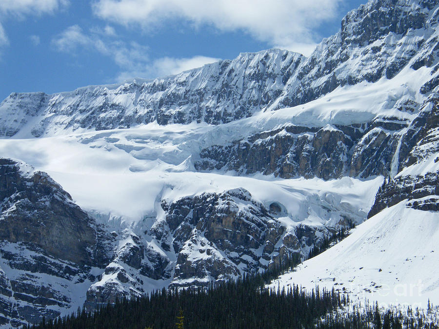 Crowfoot Glacier - Canada Photograph by Phil Banks