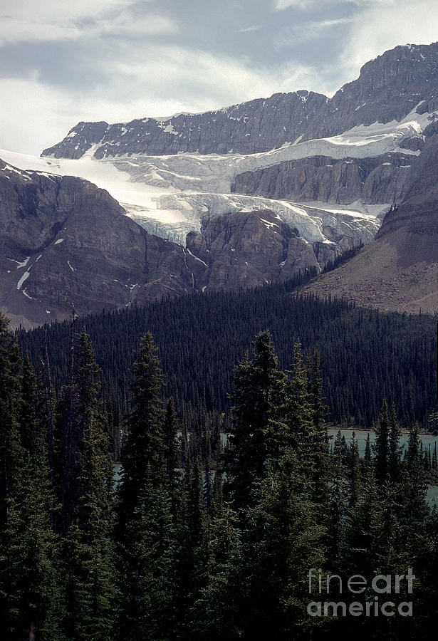 Crowfoot Glacier Photograph by Sharon Elliott