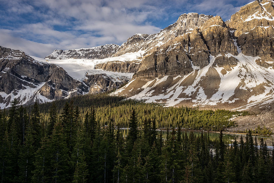 Crowfoot Photograph by Len Saltiel - Fine Art America