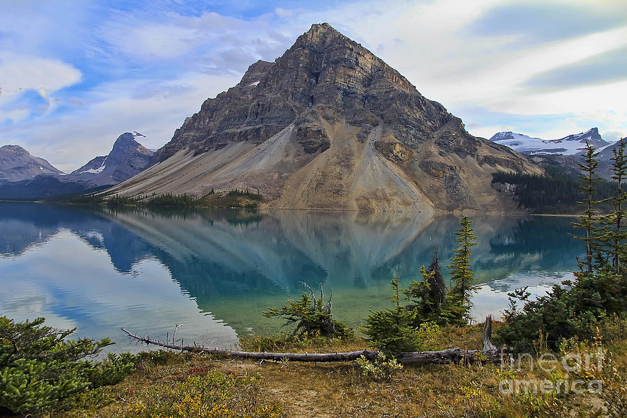 Banff National Park Photograph - Crowfoot Mountain Banff NP by Teresa Zieba